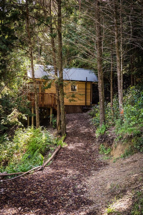Maitai Whare Iti - Adventure Cabins & House 넬슨 외부 사진